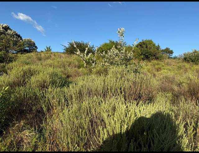 LAND FOR SALE IN ZINI RIVER ESTATE